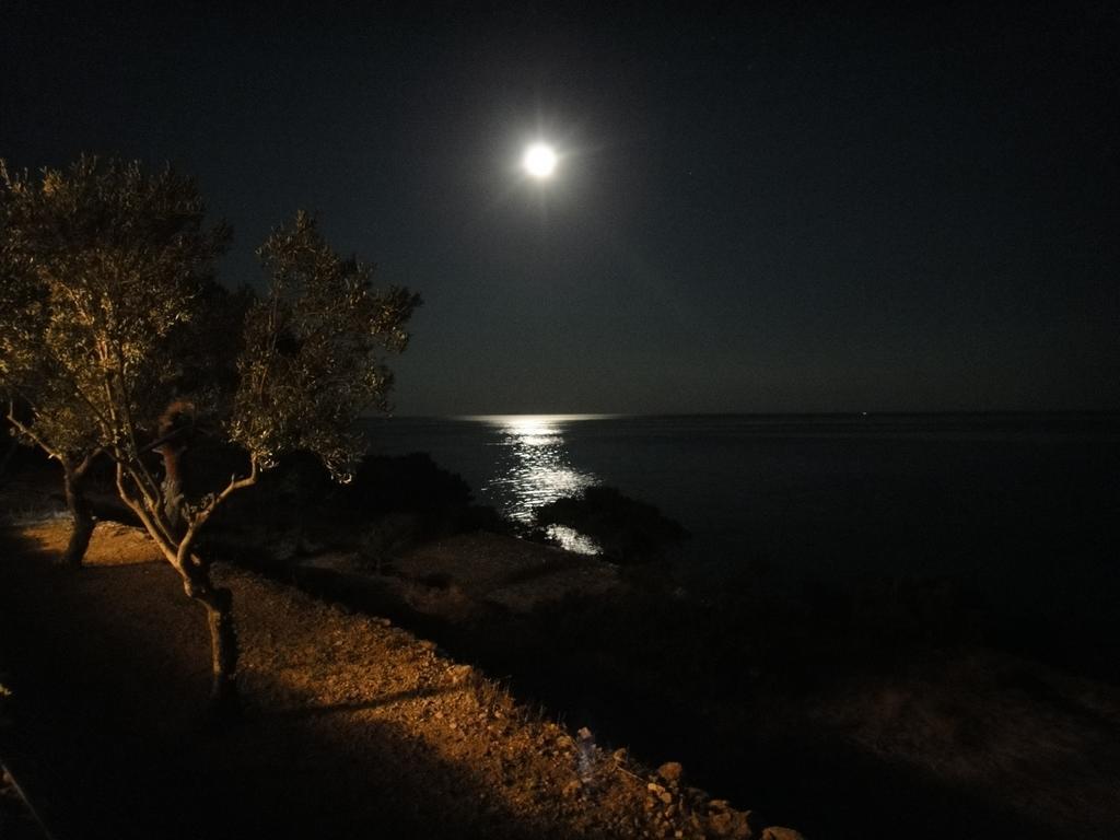 Kavos Bay Seafront Hotel Agia Marina  Dış mekan fotoğraf