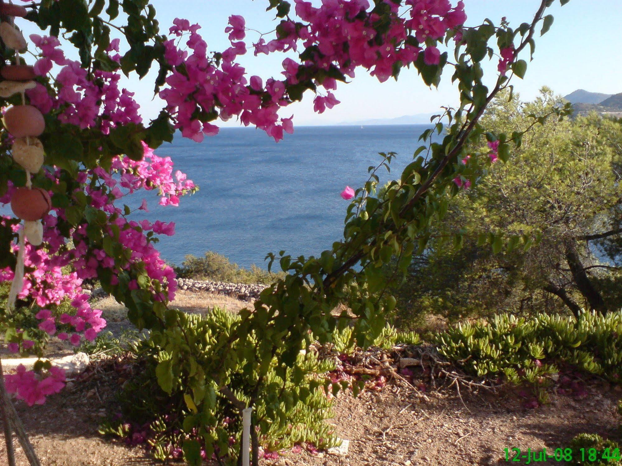 Kavos Bay Seafront Hotel Agia Marina  Dış mekan fotoğraf