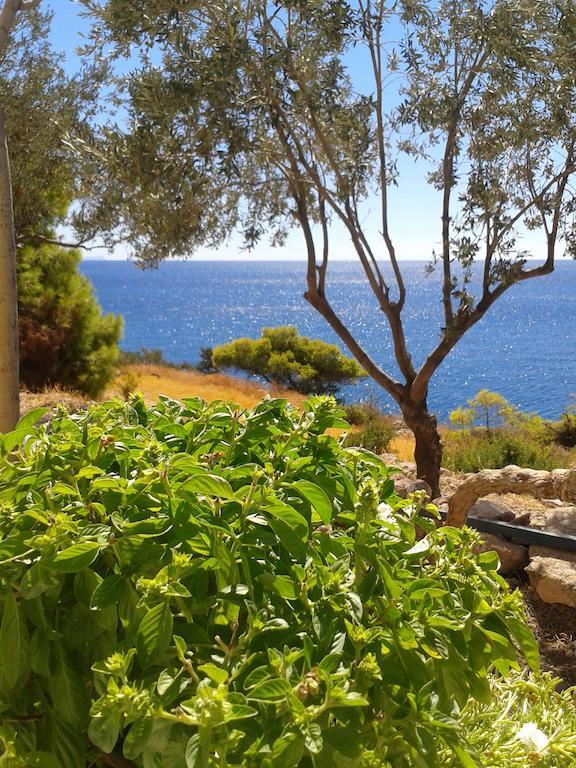Kavos Bay Seafront Hotel Agia Marina  Dış mekan fotoğraf