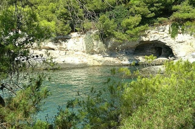 Kavos Bay Seafront Hotel Agia Marina  Dış mekan fotoğraf